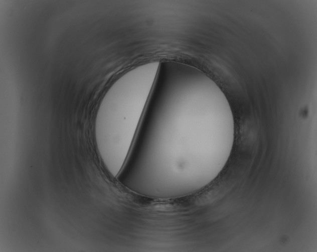 X0000091660228200708230958