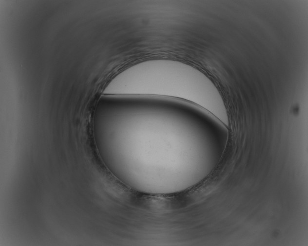 X0000091660229200708230958