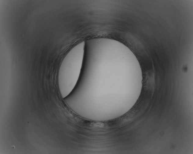 X0000091660230200708230958