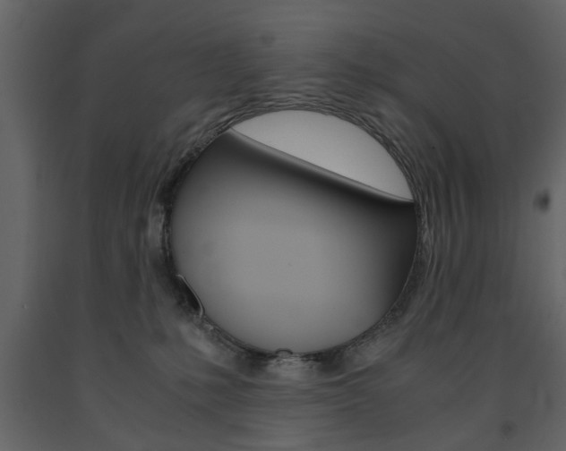 X0000091660231200708230958