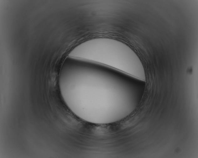 X0000091660232200708230958