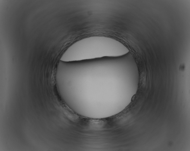 X0000091660234200708230958