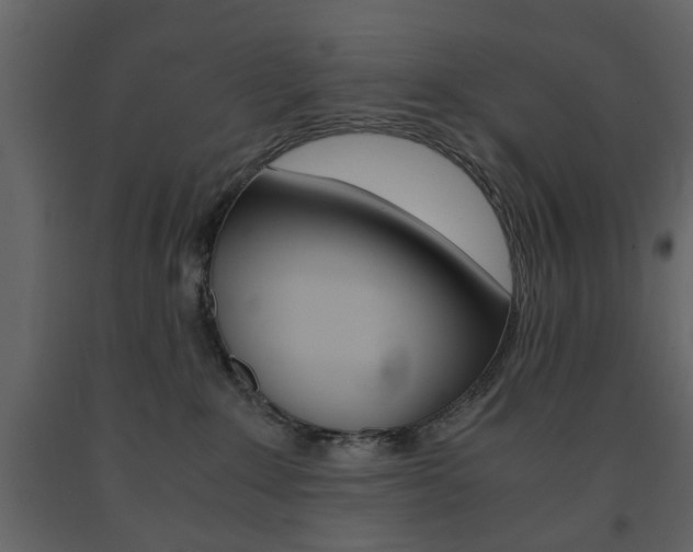 X0000091660235200708230958