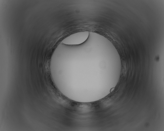 X0000091660236200708230958