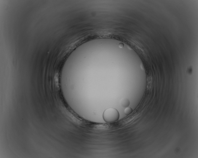 X0000091660238200708230958