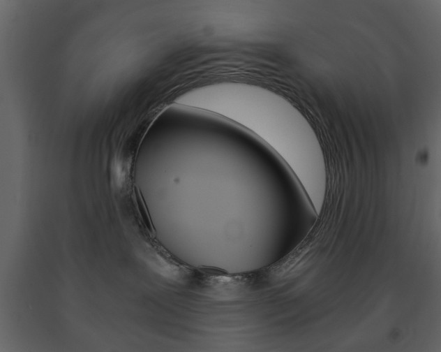 X0000091660239200708230958