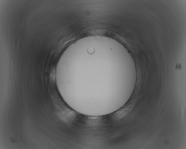 X0000091660240200708230958