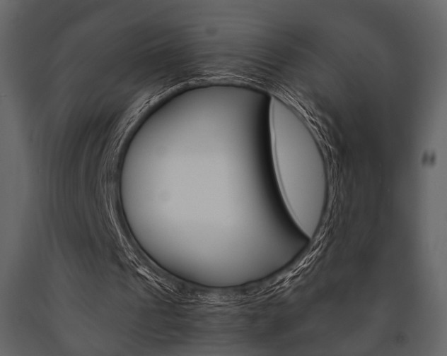 X0000091660241200708230957