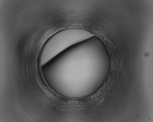 X0000091660242200708230957
