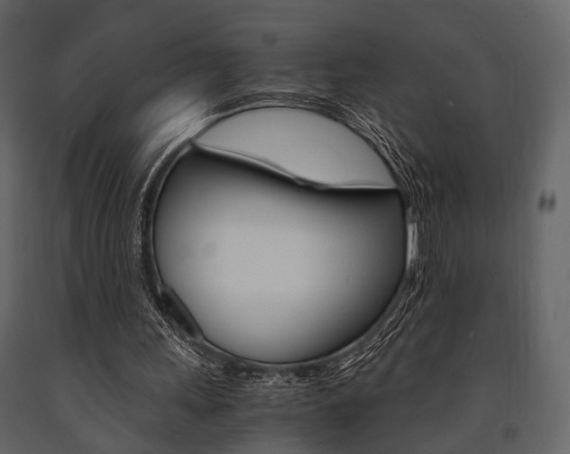 X0000091660243200708230957