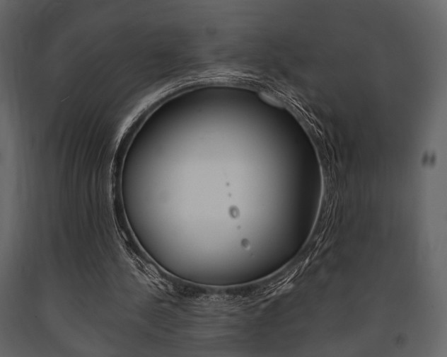 X0000091660244200708230957