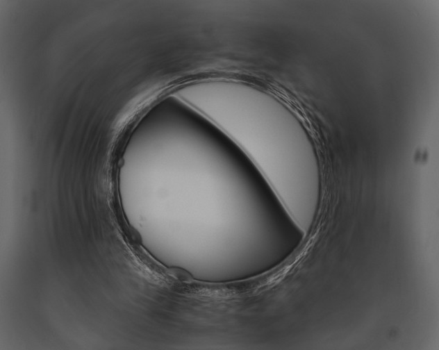 X0000091660245200708230957
