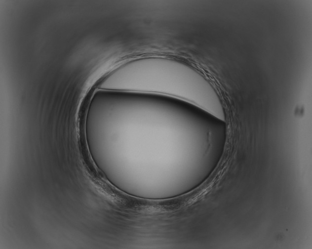 X0000091660246200708230957