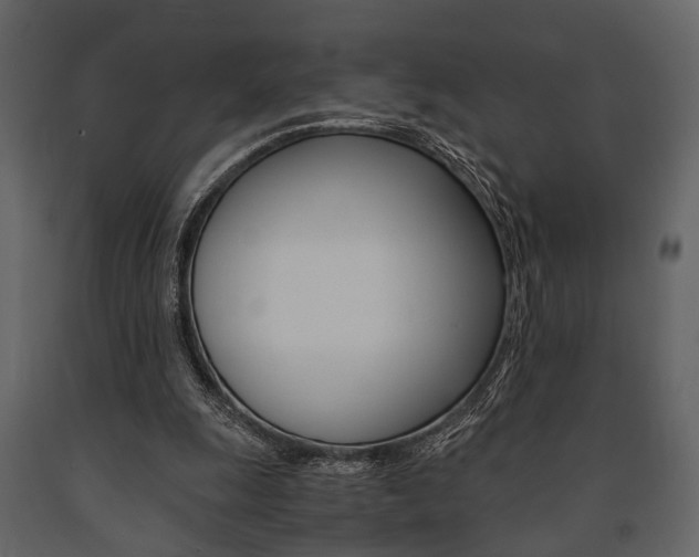 X0000091660247200708230957