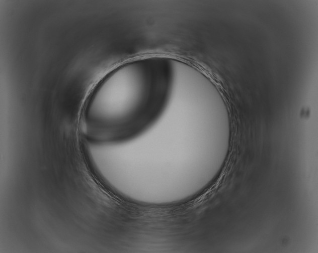 X0000091660248200708230957