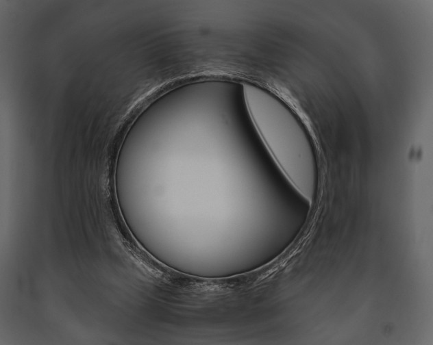 X0000091660249200708230957