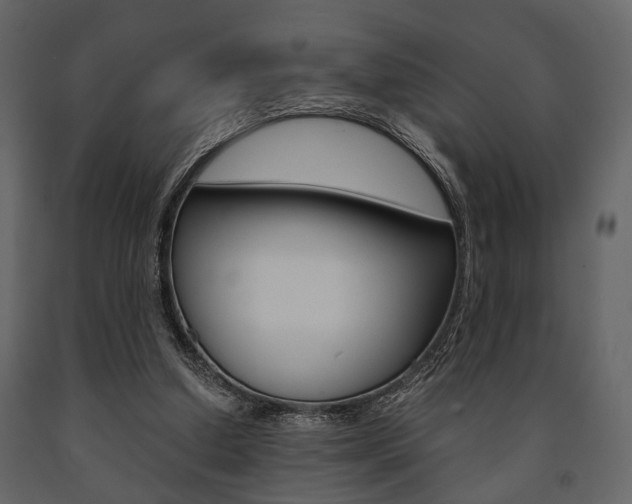 X0000091660250200708230957