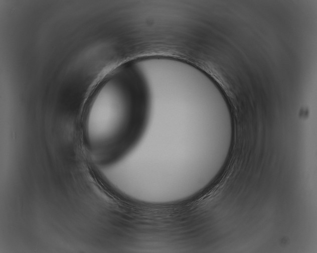 X0000091660252200708230957