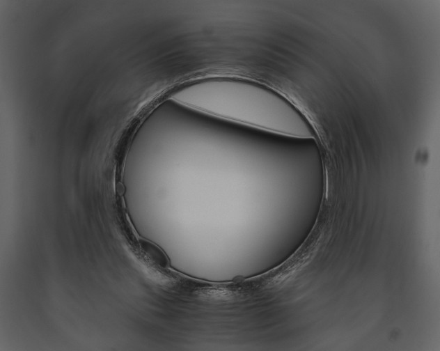 X0000091660253200708230957