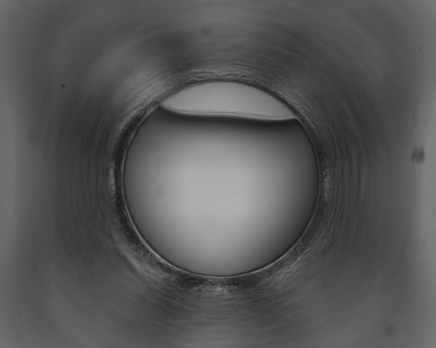 X0000091660254200708230957