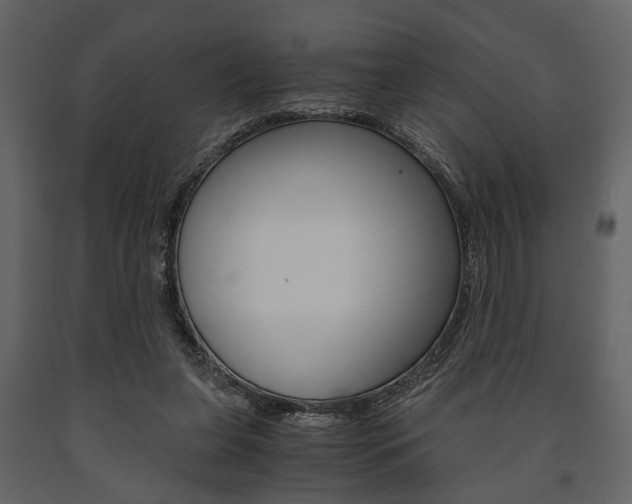 X0000091660255200708230957