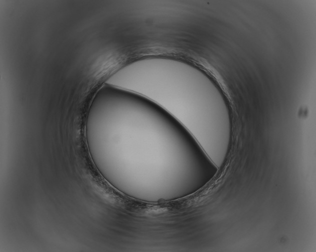 X0000091660257200708230957