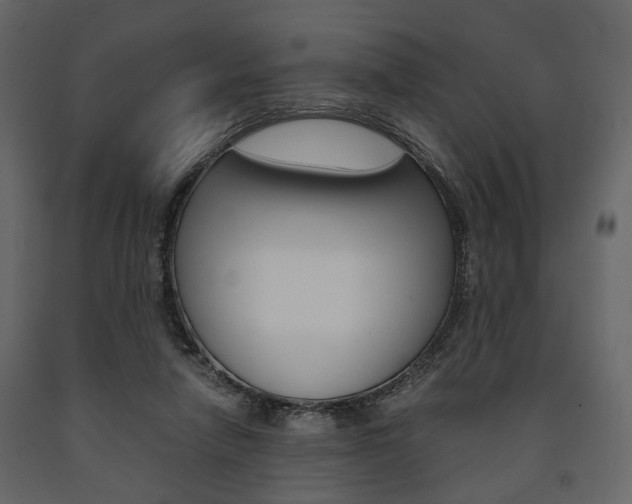 X0000091660258200708230957