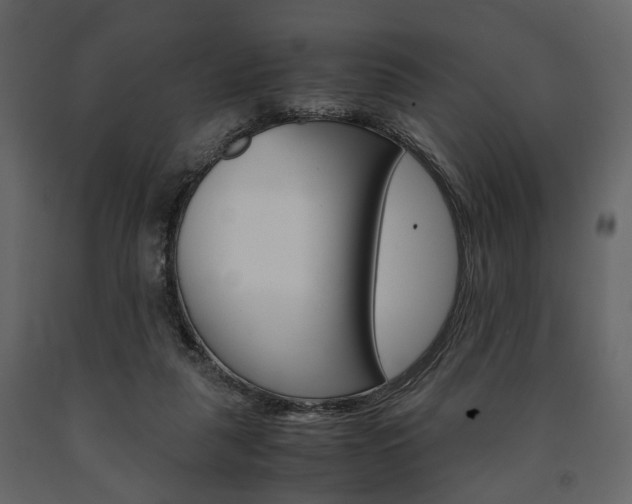 X0000091660259200708230957