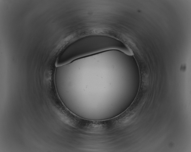 X0000091660260200708230958