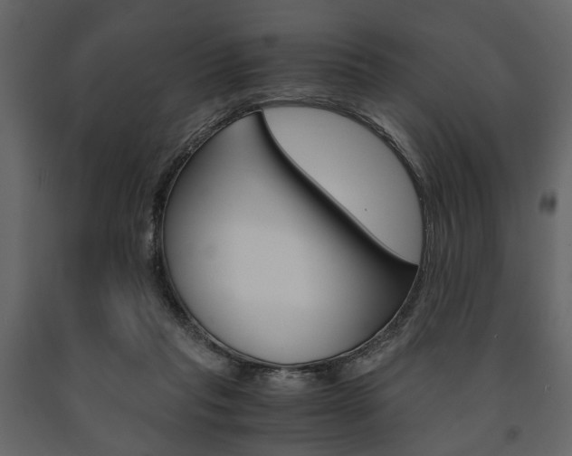 X0000091660261200708230958