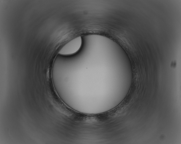 X0000091660262200708230958