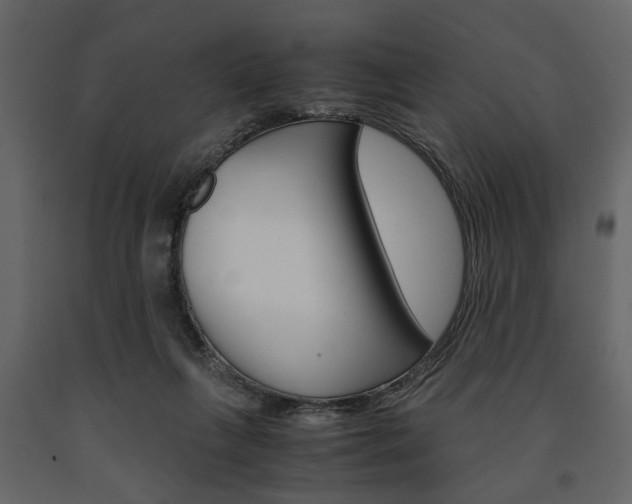 X0000091660263200708230958