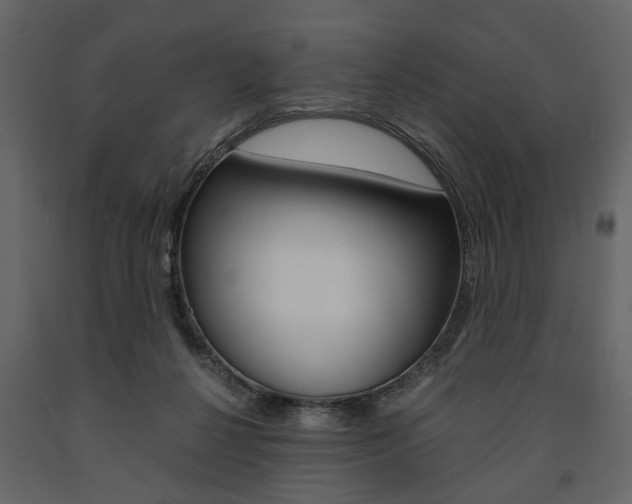 X0000091660264200708230958