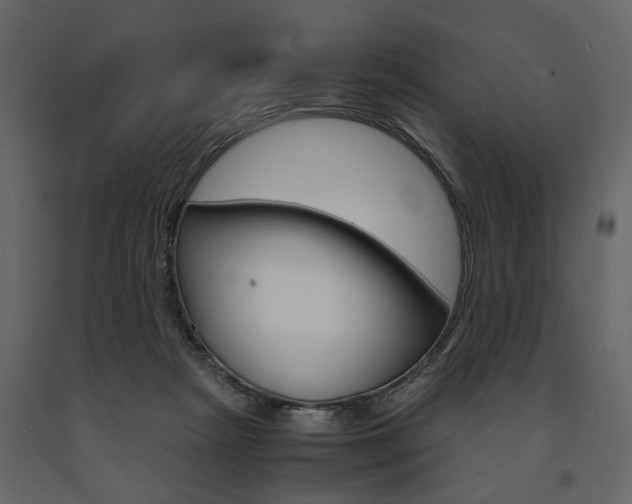 X0000091660265200708230958