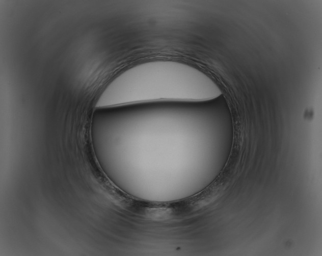 X0000091660266200708230958