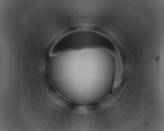 X0000091660268200708230958