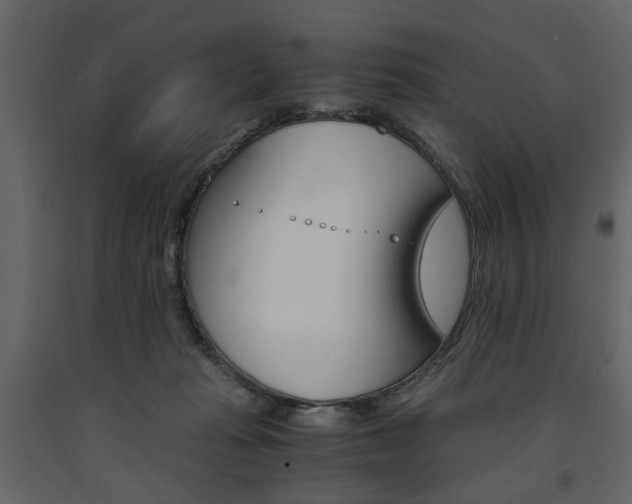 X0000091660269200708230958