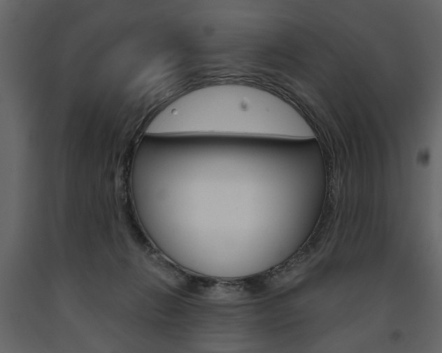 X0000091660270200708230958