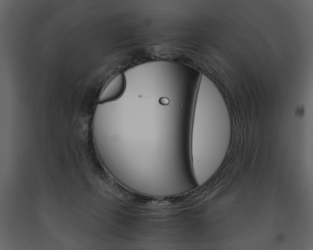 X0000091660271200708230958