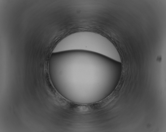 X0000091660272200708230958