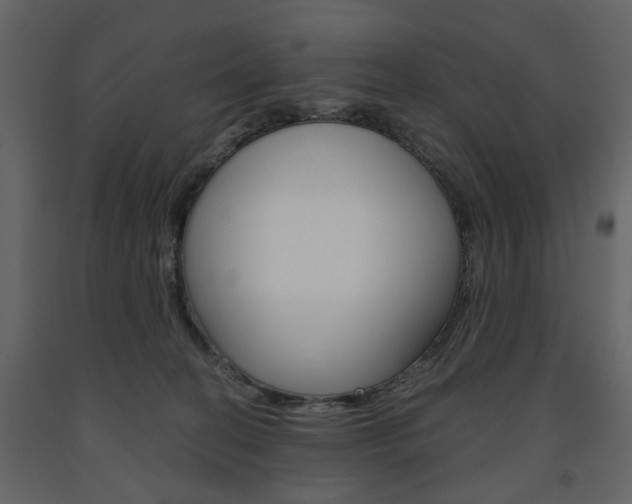 X0000091660274200708230958
