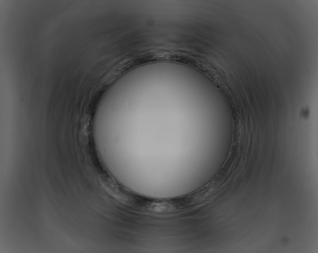 X0000091660275200708230958