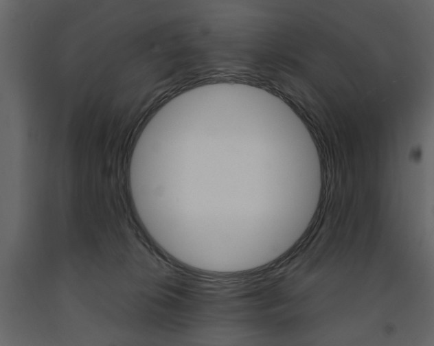 X0000091660276200708230958