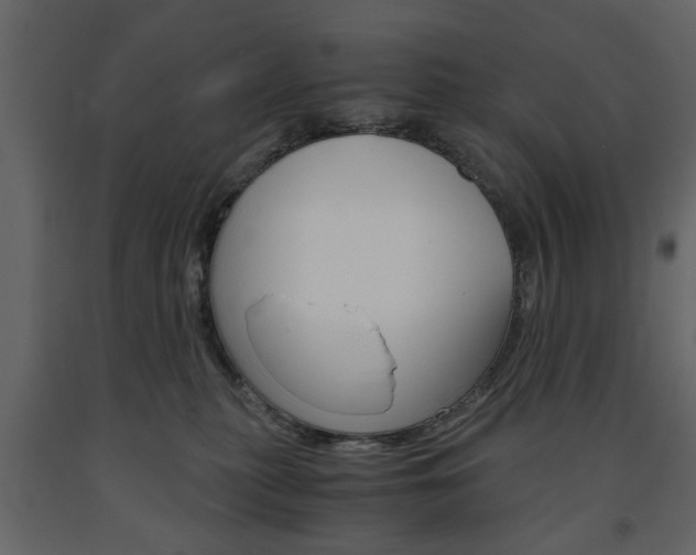 X0000091660279200708230958