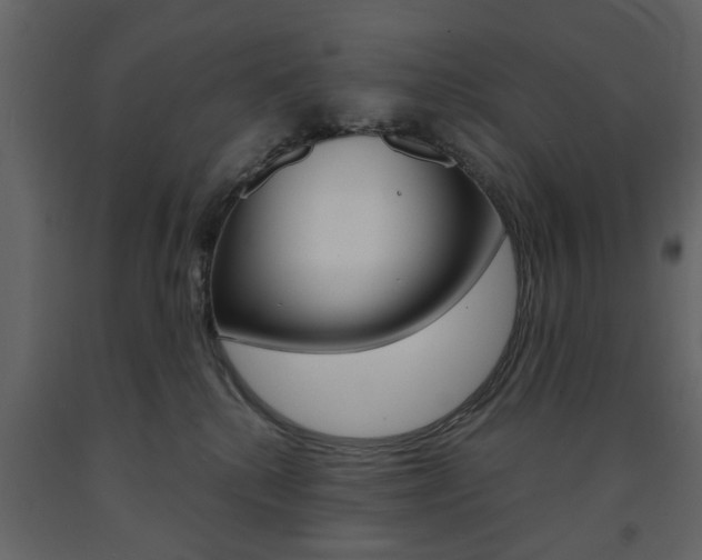 X0000091660280200708230958