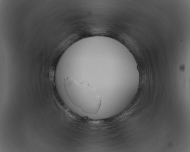 X0000091660281200708230958