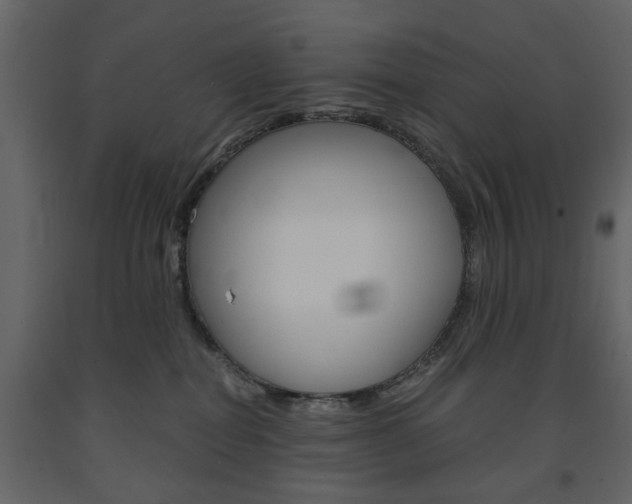X0000091660282200708230958