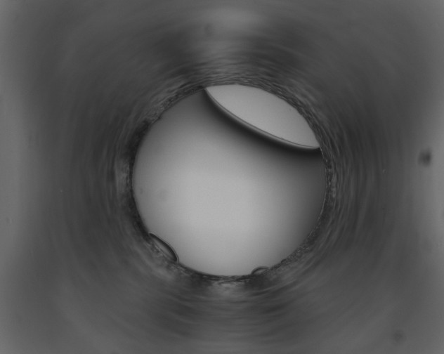 X0000091660283200708230958