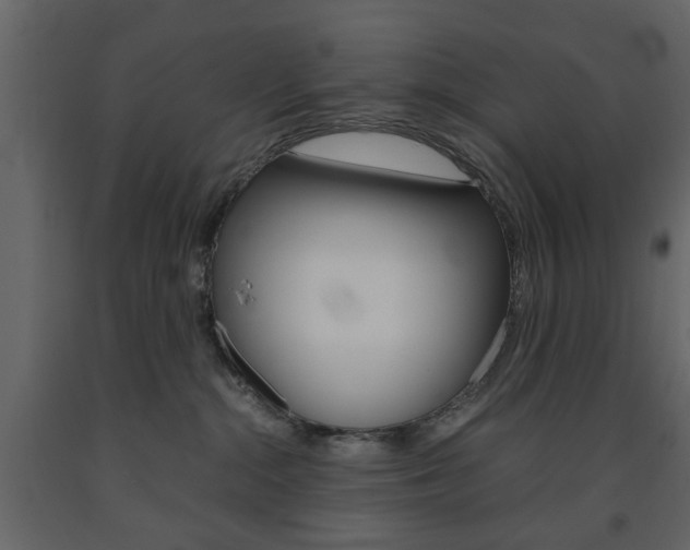 X0000091660284200708230958