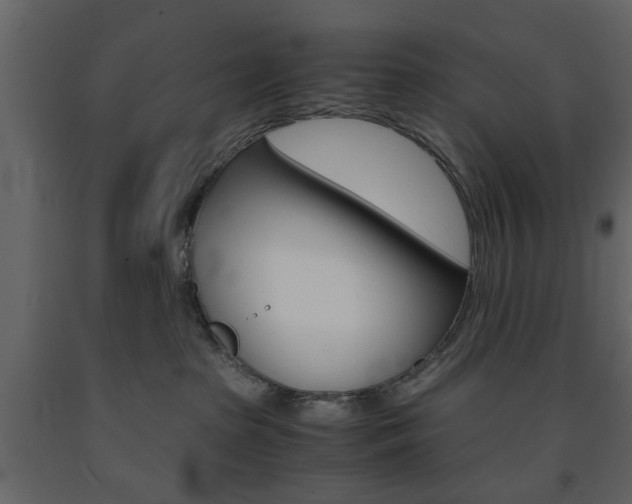 X0000091660285200708230958